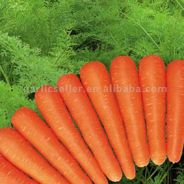  Fresh Carrots (Carottes fraîches)