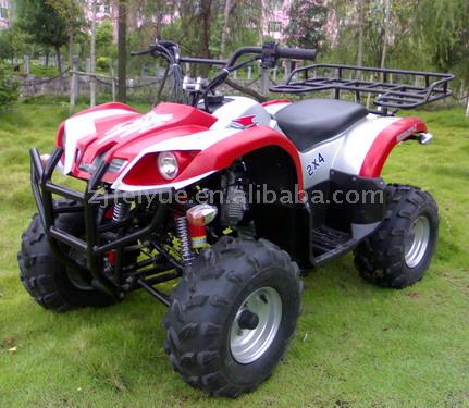  250cc/200cc Liquid Cooled ATV ( 250cc/200cc Liquid Cooled ATV)