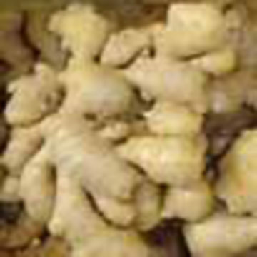  Chinese 2006 Crop Ginger ( Chinese 2006 Crop Ginger)
