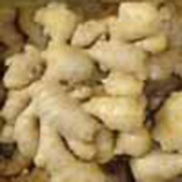  Chinese 2006 Crop Ginger (Китайский урожая 2006 Имбирь)