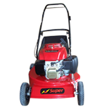  Gasoline Lawn Mown (Essence Pelouse Mown)