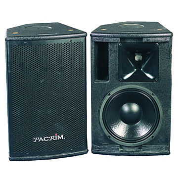  2-Way Professional Speaker