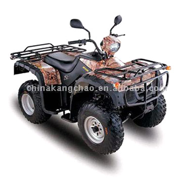  250CC EEC & COC ATV Model ( 250CC EEC & COC ATV Model)