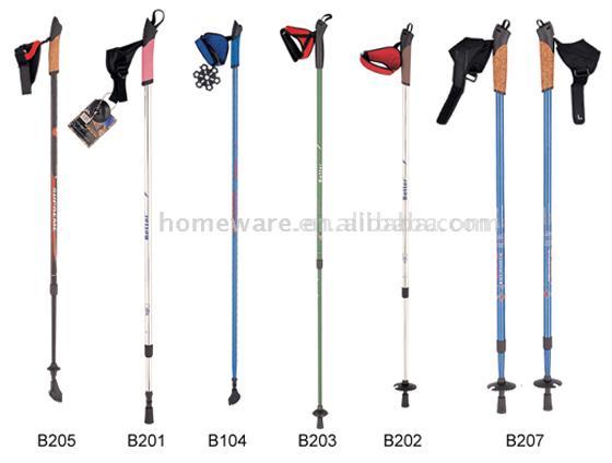  Walking Stick (Walking Stick)