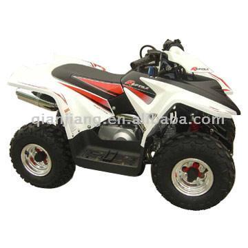  Mini ATV