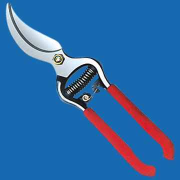  Garden Shears (Jardin Shears)