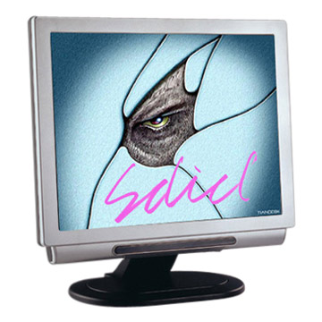  LCD Monitor (LCD-Monitor)