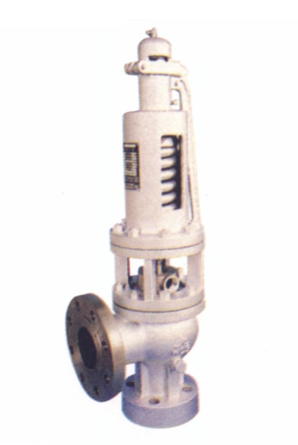  Safety Valve ( Safety Valve)