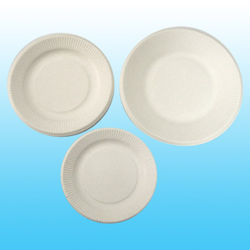  Paper Plate ( Paper Plate)