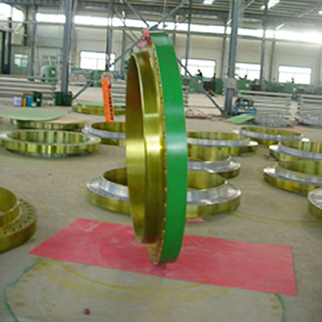  Flanges