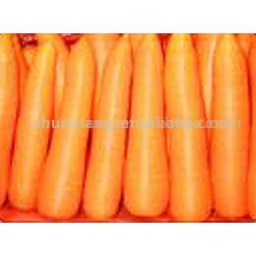  Top / General Selected Carrot (Вверх / Общие Выбранный Морковь)