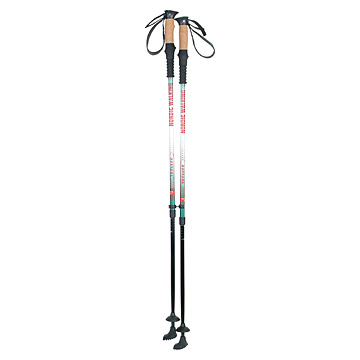  Walking Stick ( Walking Stick)