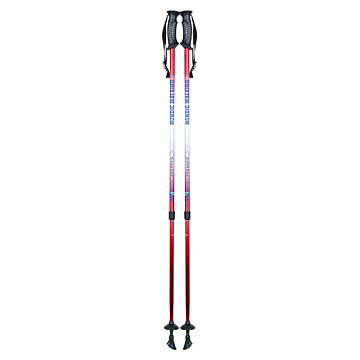  Walking Sticks ( Walking Sticks)