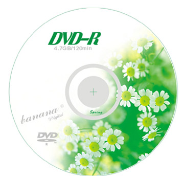  Blank DVD-R 8X (Spring) (Чистые диски DVD-R 8X (весна))