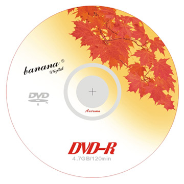  Blank DVD-R 8X (Autumn) (Чистые диски DVD-R 8X (осень))