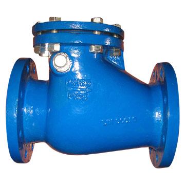  Cast Iron Swing Check Valve ( Cast Iron Swing Check Valve)