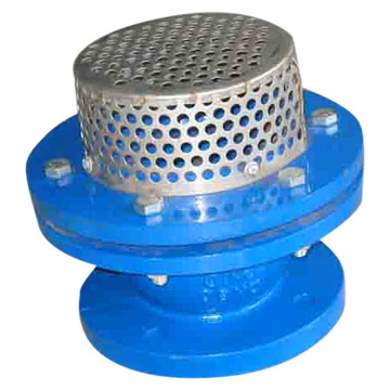  Foot Valve ( Foot Valve)