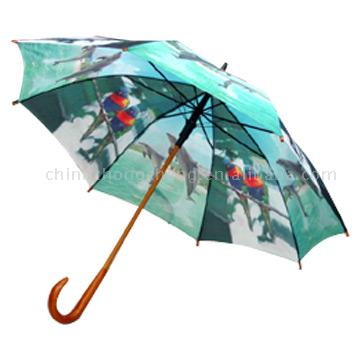  Straight Umbrella (Прямо Umbrella)