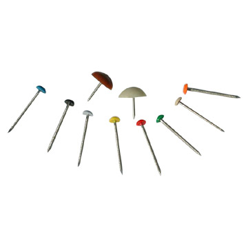  Stainless Steel Plastic-Infused Nails (Acier inoxydable Plastique-Nails perfusé)