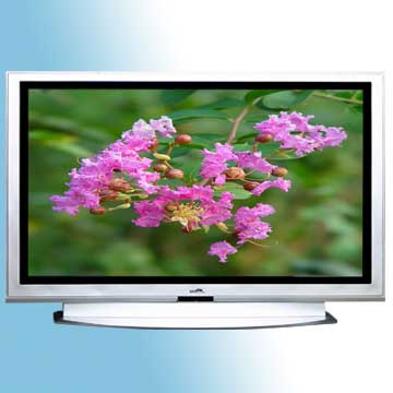  42" Plasma TV ( 42" Plasma TV)