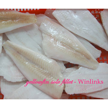  Frozen Yellow Fin Sole Fillets