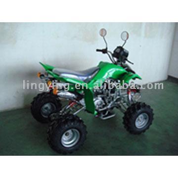 110cc EWG Approved ATV (110cc EWG Approved ATV)