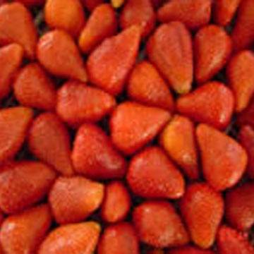  Frozen Strawberry
