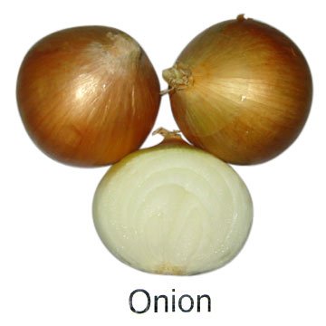  Onion (Лук)