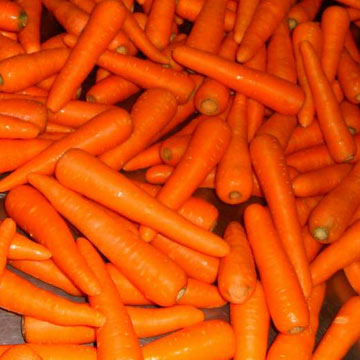  Carrots (Carottes)