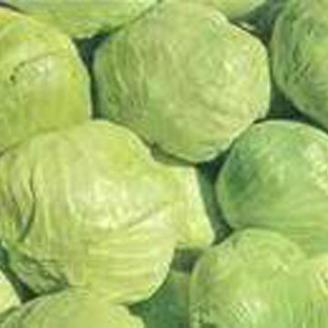  Cabbages (Choux)