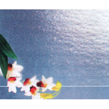  Patterned Glass ( Patterned Glass)