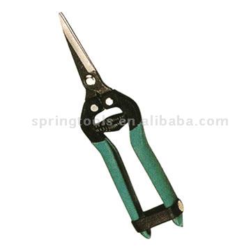  Garden Shears (Jardin Shears)