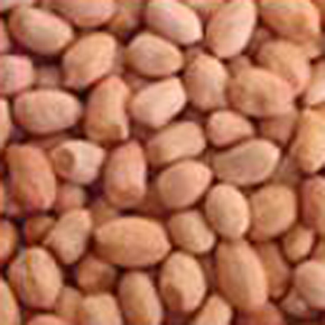  Peanut Kernels (Ядра арахиса)