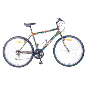  Mountain Bicycle