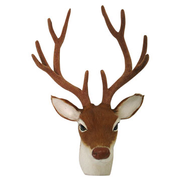  Animal Decoration ( Animal Decoration)