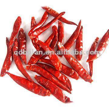  Chaotian Chili (Chaotian Chili)