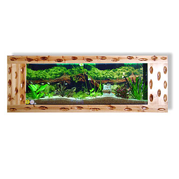  Wall Mounted Aquarium