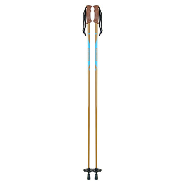  Ski Poles (XD1-2) (Skistöcke (XD1-2))