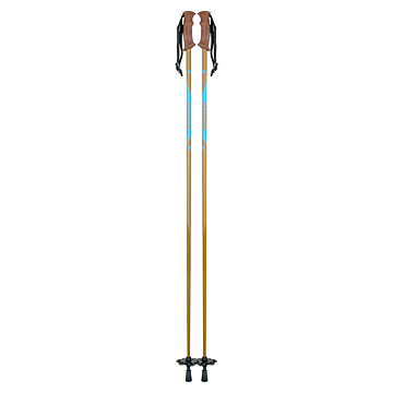  Ski Poles (XD1-2) (Палки (XD1 ))