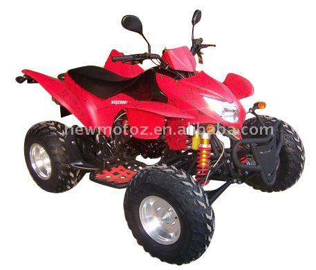  250cc ATV with EEC Homologated (250cc ATV с ЕЭС районированный)