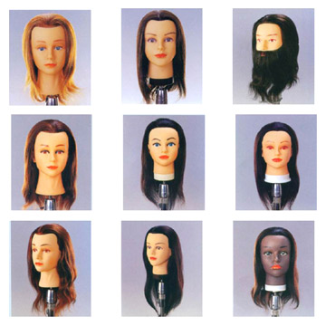Haarverlängerung und Mannequins (Haarverlängerung und Mannequins)
