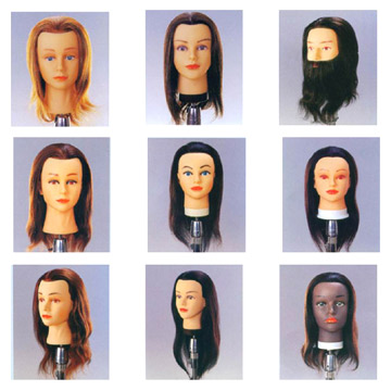  Hair Extension and Mannequins ( Hair Extension and Mannequins)
