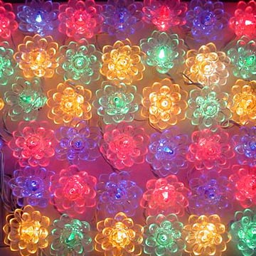  Christmas Lights