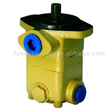 Auto Power Steering Pump (Auto Power Steering Pump)