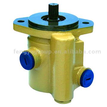 Auto Power Steering Pump (Auto Power Steering Pump)