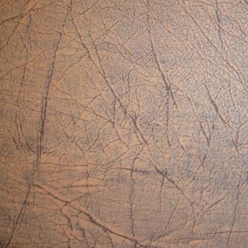  Shoe Leather (Schuhe Leder)