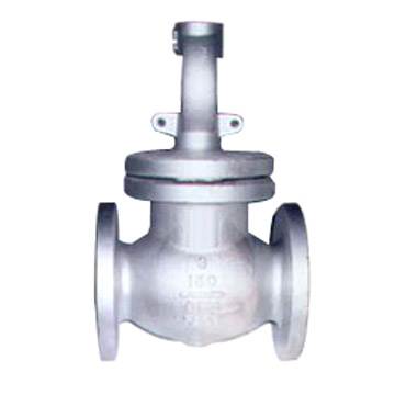  Valve ( Valve)
