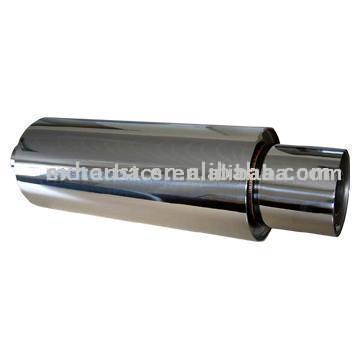  Exhaust Muffler (SS) (Silencieux d`échappement (SS))