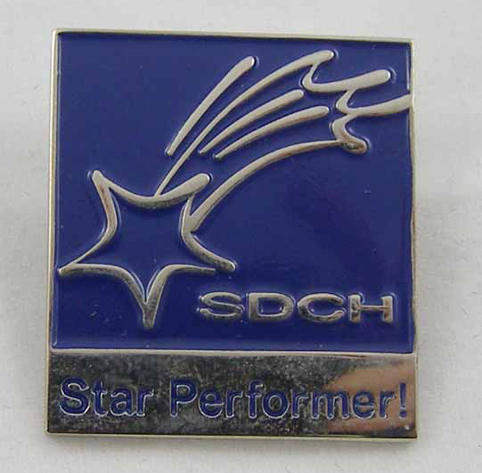  Soft Enamel Lapel Pin (Soft Enamel Lapel Pin)