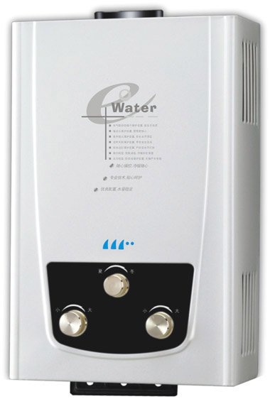  Instant Flue Type Gas Water Heater